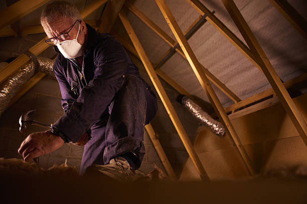 Best Geographic-Specific Insulation Services in Yorba Linda, CA